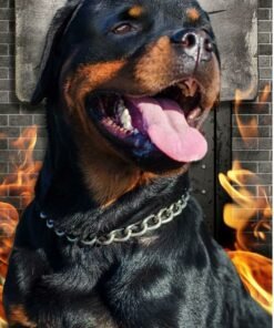 Alternative view of Strandlaken in microfiber, 100 x 180 cm. , Rottweiler