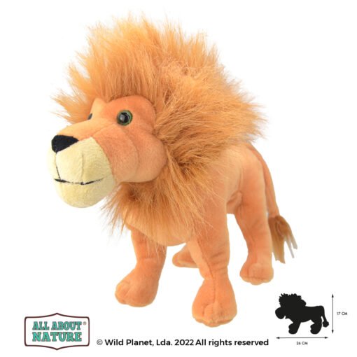 Wild planet - All about nature - Leeuw