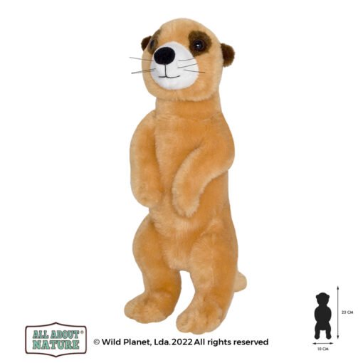 Wild planet - All about nature - Stokstaartje