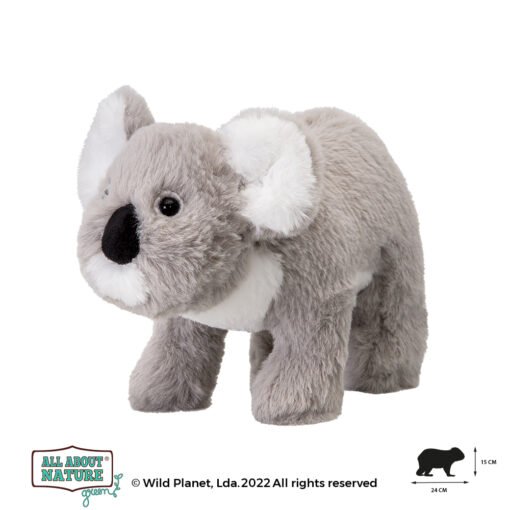 Wild planet - All about nature green - Koala