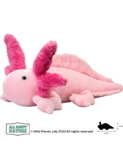 Wild planet - All about nature - Axolotl