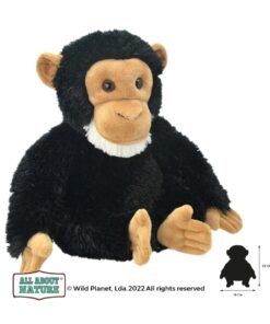 Wild planet - All about nature - Chimpansee