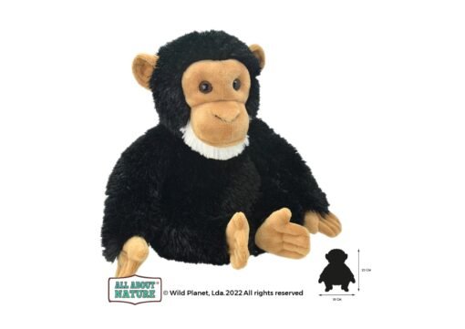 Wild planet - All about nature - Chimpansee