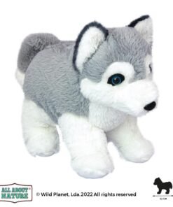 Wild planet - All about nature - Husky