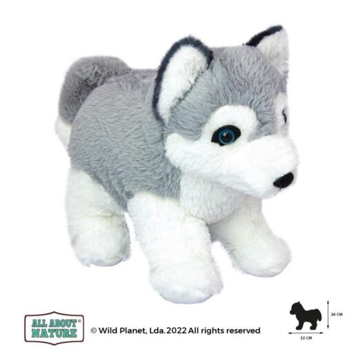 Wild planet - All about nature - Husky